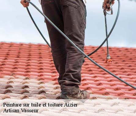 Peinture sur tuile et toiture  aizier-27500 Artisan Vasseur