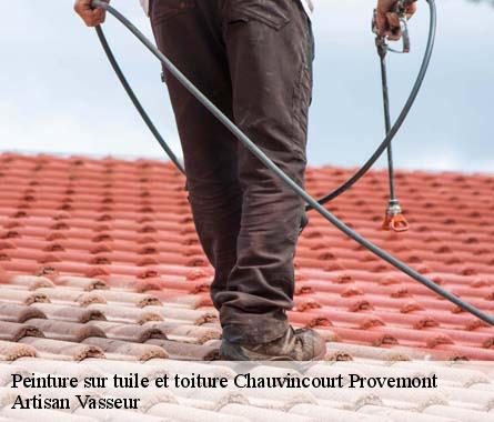 Peinture sur tuile et toiture  chauvincourt-provemont-27150 Artisan Vasseur